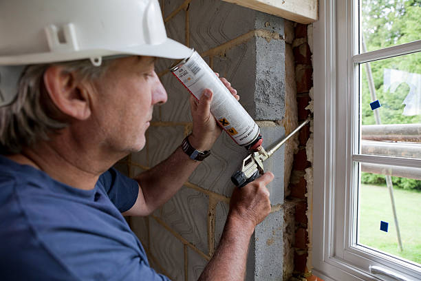 Best Eco-Friendly or Green Insulation Solutions  in Lake Park, NC